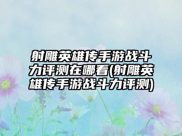 射雕英雄传手游战斗力评测在哪看(射雕英雄传手游战斗力评测)