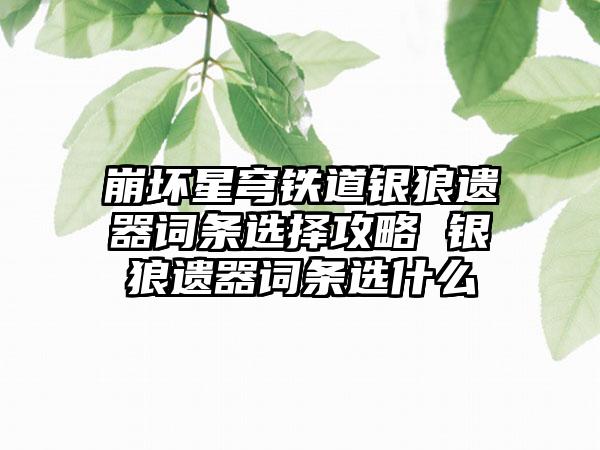 崩坏星穹铁道银狼遗器词条选择攻略 银狼遗器词条选什么