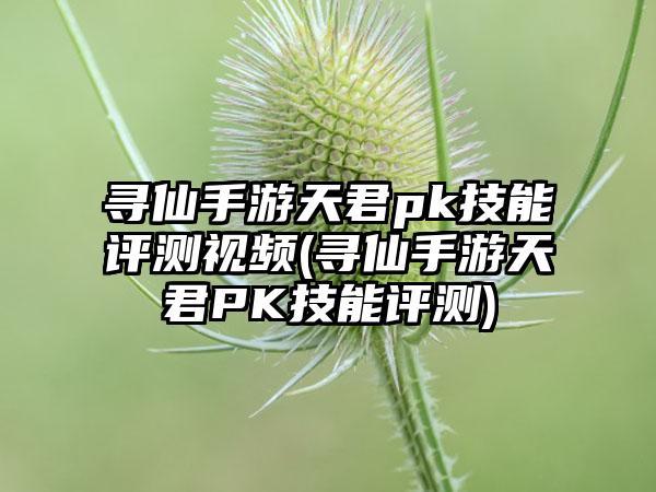 寻仙手游天君pk技能评测视频(寻仙手游天君PK技能评测)