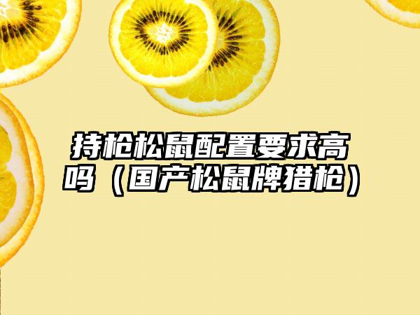 持枪松鼠配置要求高吗（国产松鼠牌猎枪）