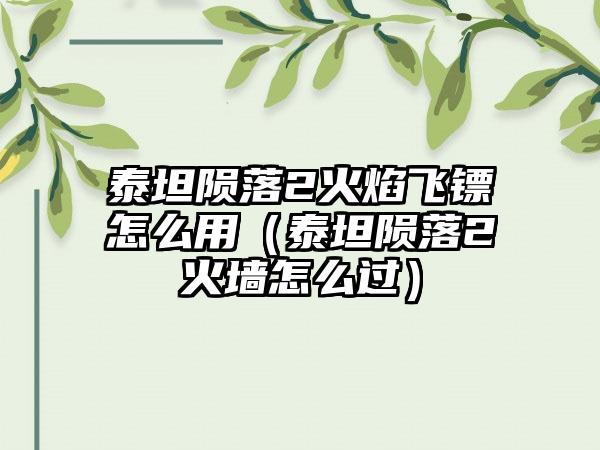 泰坦陨落2火焰飞镖怎么用（泰坦陨落2火墙怎么过）