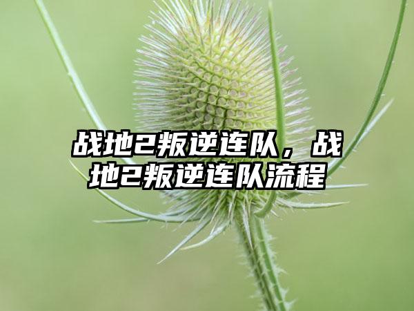 战地2叛逆连队，战地2叛逆连队流程