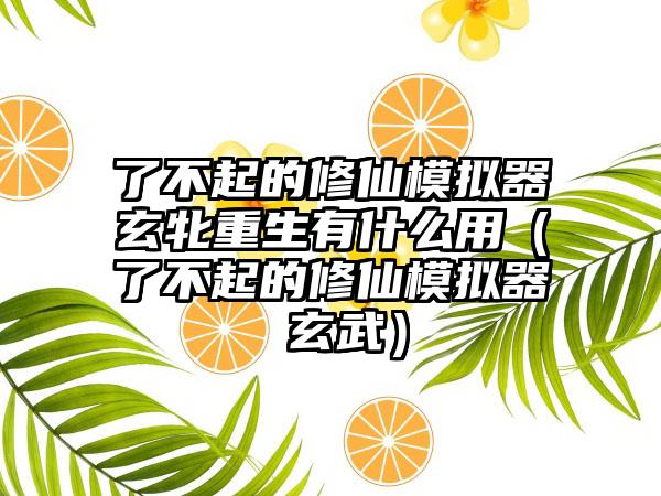 了不起的修仙模拟器玄牝重生有什么用（了不起的修仙模拟器 玄武）