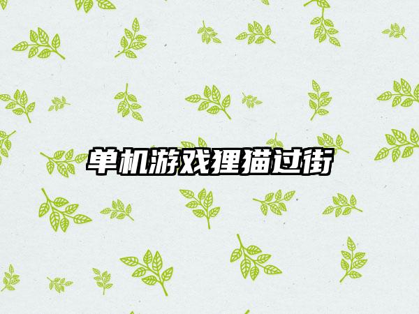 单机游戏狸猫过街