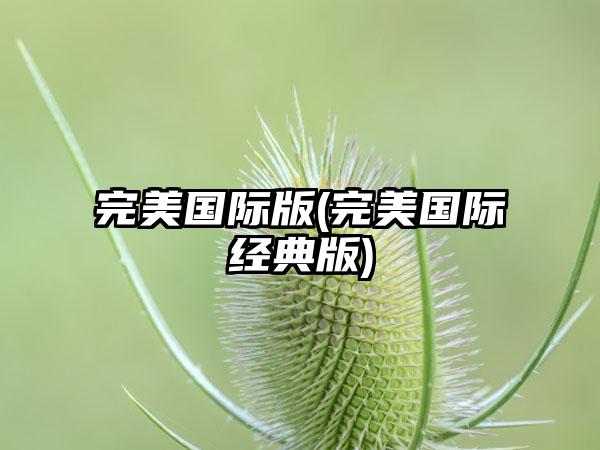 完美国际版(完美国际经典版)