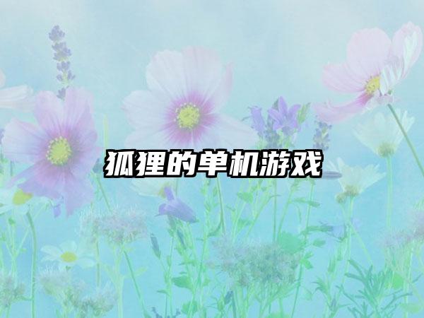 狐狸的单机游戏