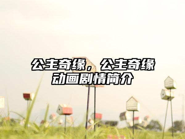 公主奇缘，公主奇缘动画剧情简介