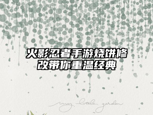 火影忍者手游烧饼修改带你重温经典