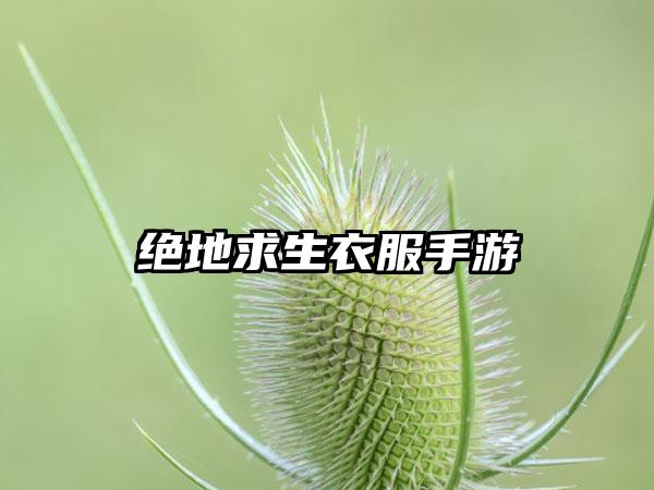 绝地求生衣服手游