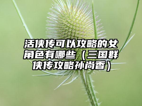 活侠传可以攻略的女角色有哪些（三国群侠传攻略孙尚香）
