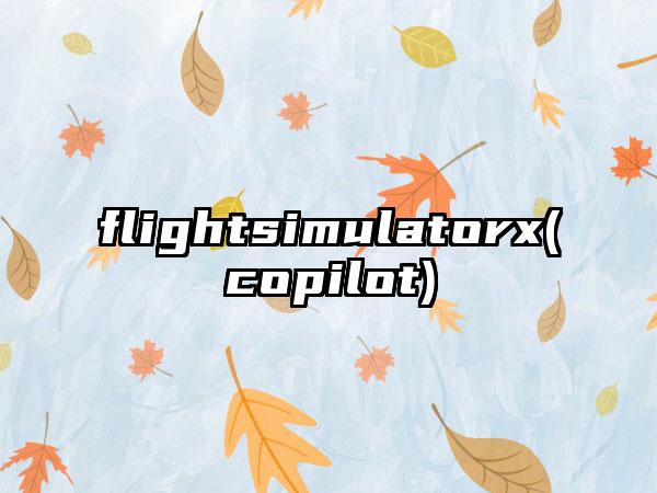 flightsimulatorx(copilot)