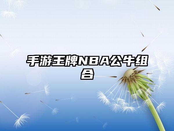 手游王牌NBA公牛组合