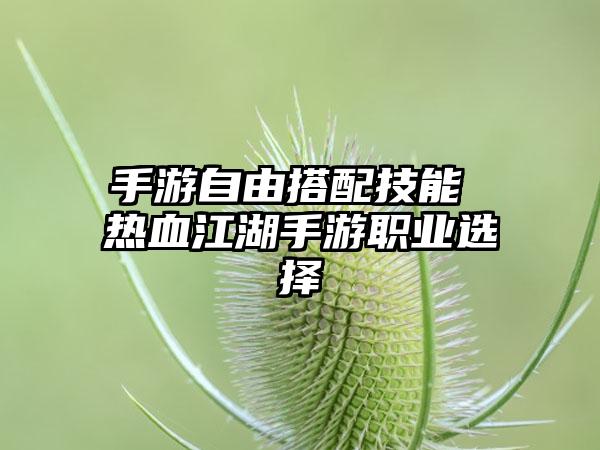 手游自由搭配技能 热血江湖手游职业选择