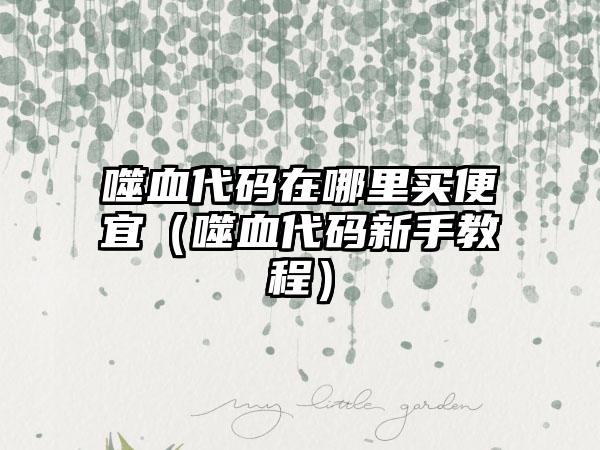 噬血代码在哪里买便宜（噬血代码新手教程）