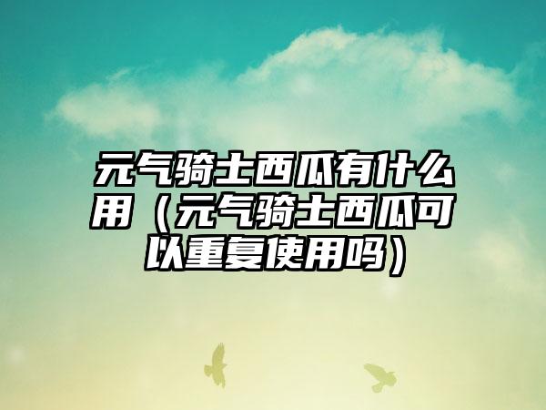 元气骑士西瓜有什么用（元气骑士西瓜可以重复使用吗）