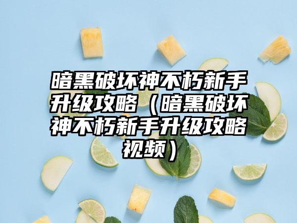 暗黑破坏神不朽新手升级攻略（暗黑破坏神不朽新手升级攻略视频）
