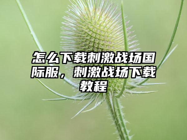 怎么下载刺激战场国际服，刺激战场下载教程
