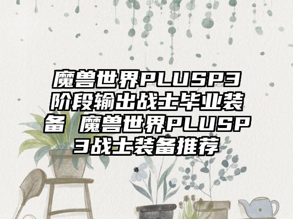 魔兽世界PLUSP3阶段输出战士毕业装备 魔兽世界PLUSP3战士装备推荐