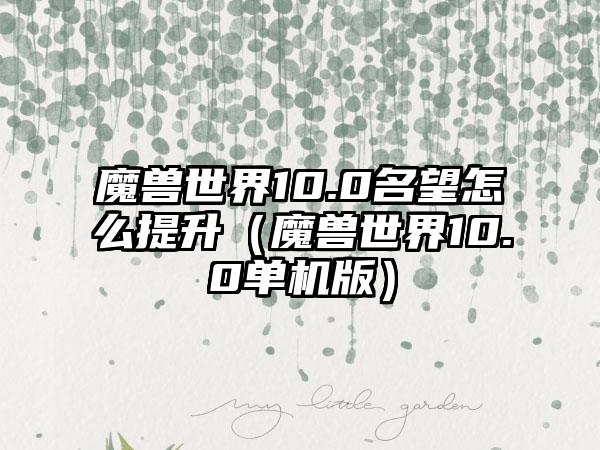 魔兽世界10.0名望怎么提升（魔兽世界10.0单机版）