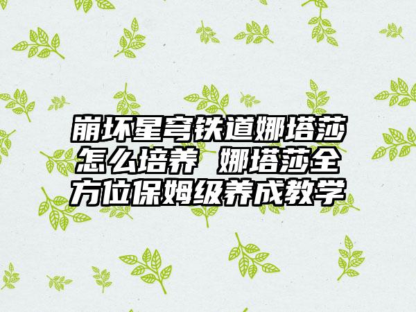 崩坏星穹铁道娜塔莎怎么培养 娜塔莎全方位保姆级养成教学