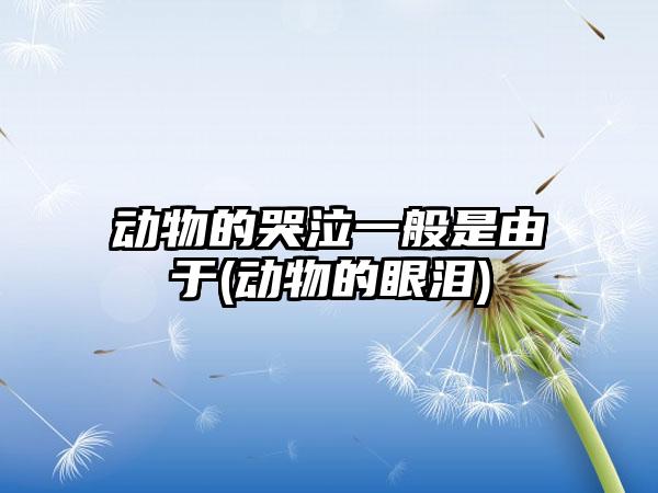 动物的哭泣一般是由于(动物的眼泪)