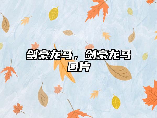 剑豪龙马，剑豪龙马图片