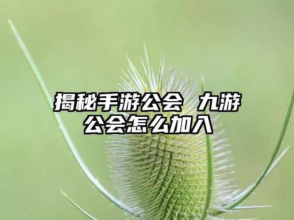 揭秘手游公会 九游公会怎么加入