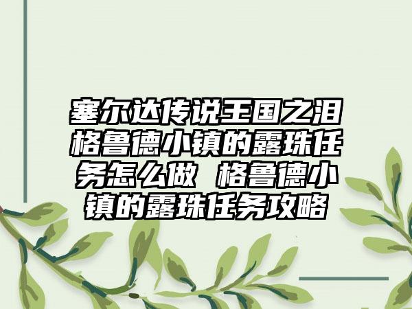 塞尔达传说王国之泪格鲁德小镇的露珠任务怎么做 格鲁德小镇的露珠任务攻略