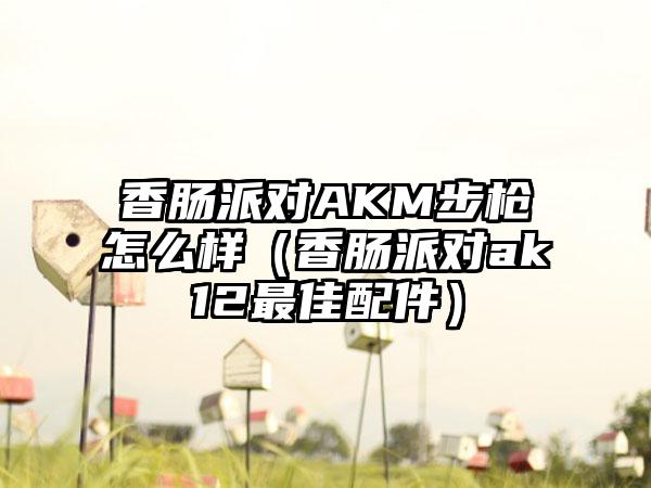 香肠派对AKM步枪怎么样（香肠派对ak12最佳配件）