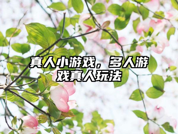 真人小游戏，多人游戏真人玩法