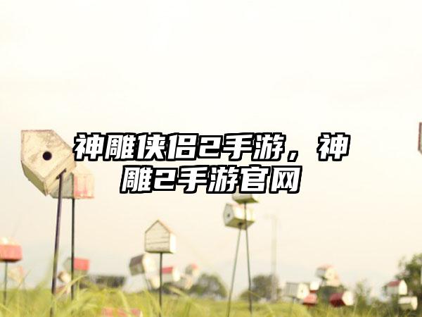 神雕侠侣2手游，神雕2手游官网