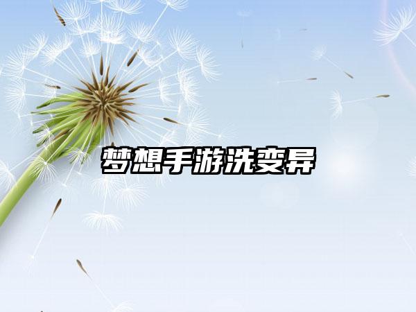 梦想手游洗变异