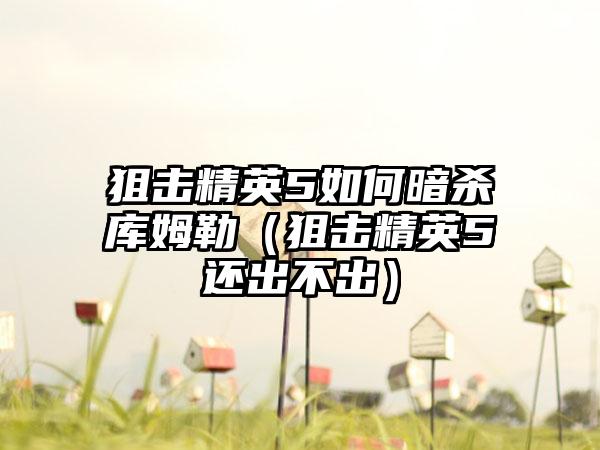 狙击精英5如何暗杀库姆勒（狙击精英5还出不出）
