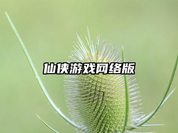 仙侠游戏网络版
