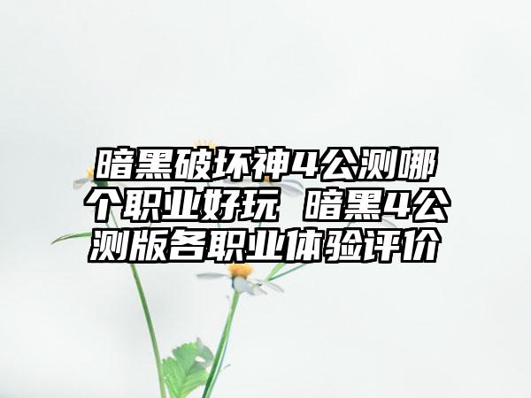 暗黑破坏神4公测哪个职业好玩 暗黑4公测版各职业体验评价