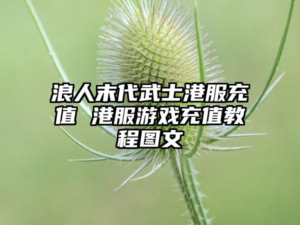 浪人末代武士港服充值 港服游戏充值教程图文