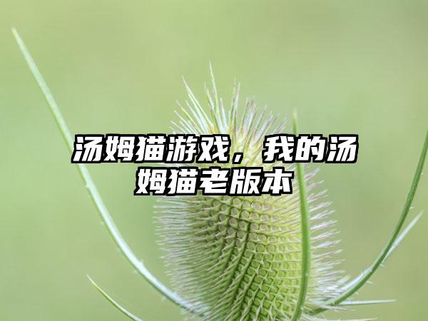 汤姆猫游戏，我的汤姆猫老版本