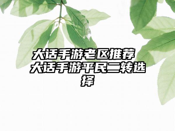 大话手游老区推荐 大话手游平民二转选择