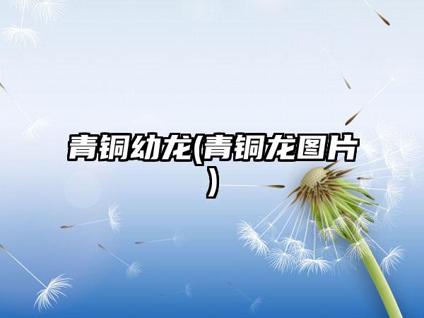 青铜幼龙(青铜龙图片)