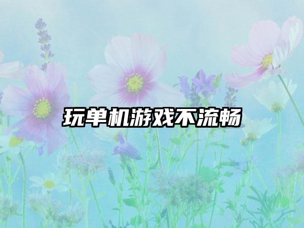 玩单机游戏不流畅