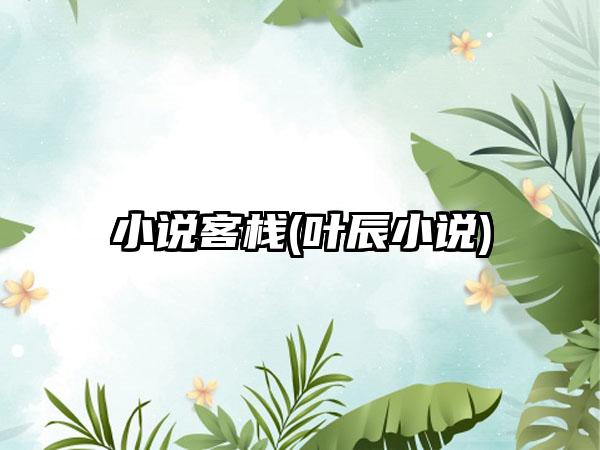 小说客栈(叶辰小说)