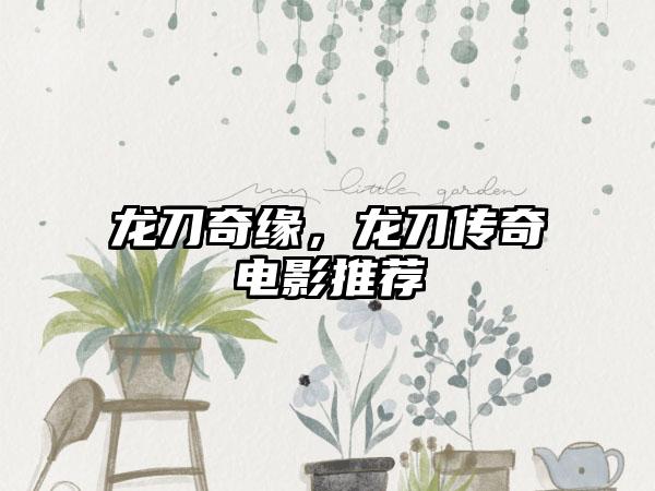 龙刀奇缘，龙刀传奇电影推荐