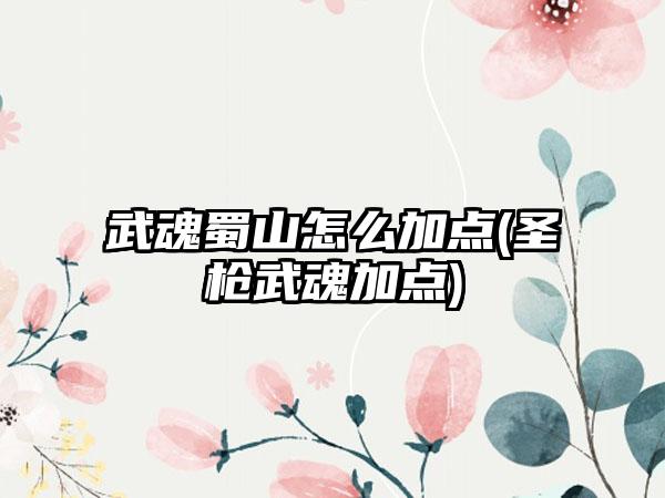 武魂蜀山怎么加点(圣枪武魂加点)