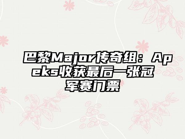巴黎Major传奇组：Apeks收获最后一张冠军赛门票