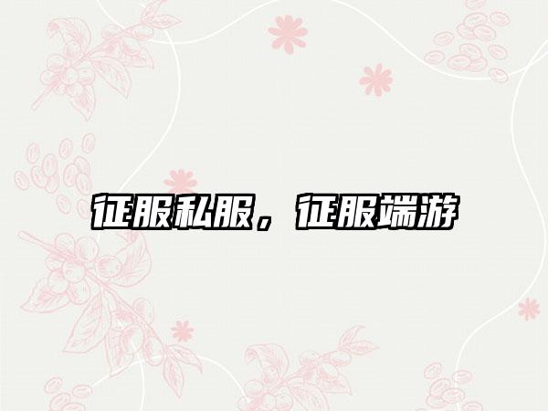 征服私服，征服端游