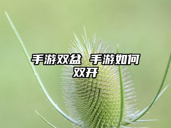 手游双盆 手游如何双开