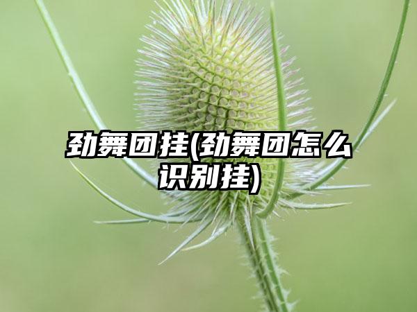 劲舞团挂(劲舞团怎么识别挂)