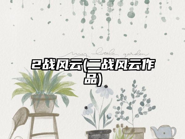 2战风云(二战风云作品)