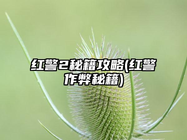 红警2秘籍攻略(红警作弊秘籍)