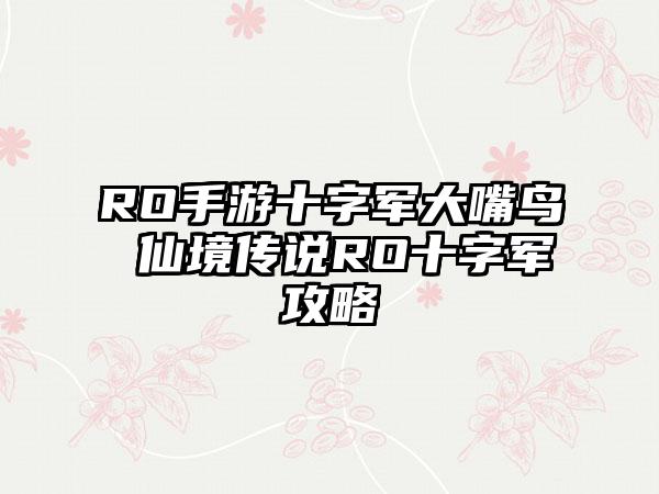 RO手游十字军大嘴鸟 仙境传说RO十字军攻略
